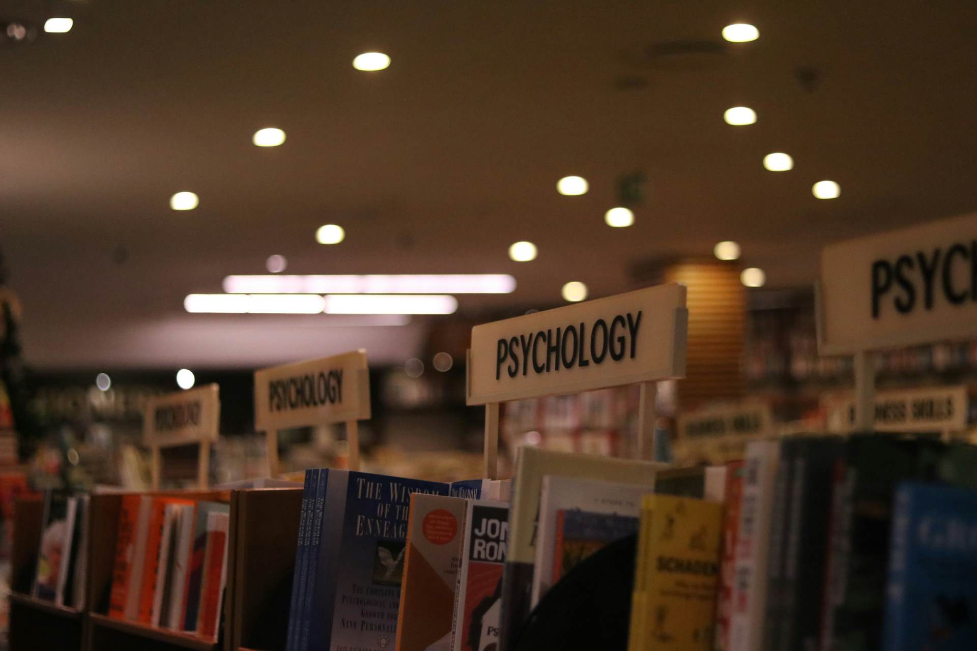 Social Sciences
